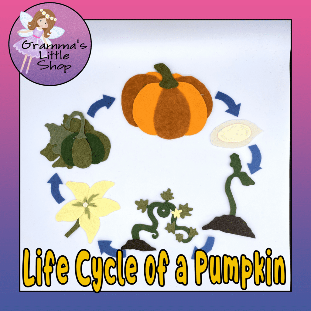 Pumpkin life cycle felt board pattern perfect for interactive science